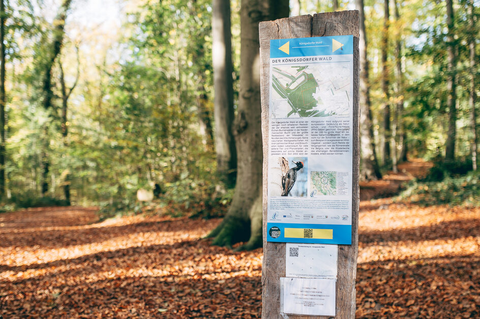 Königsdorfer Forst: Hunde an die Leine - Fahrradfahren nur auf ausgeschilderten Wegen